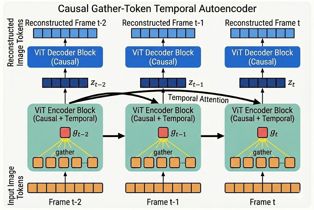 Causal Gather-Token Temporal Autoencoder